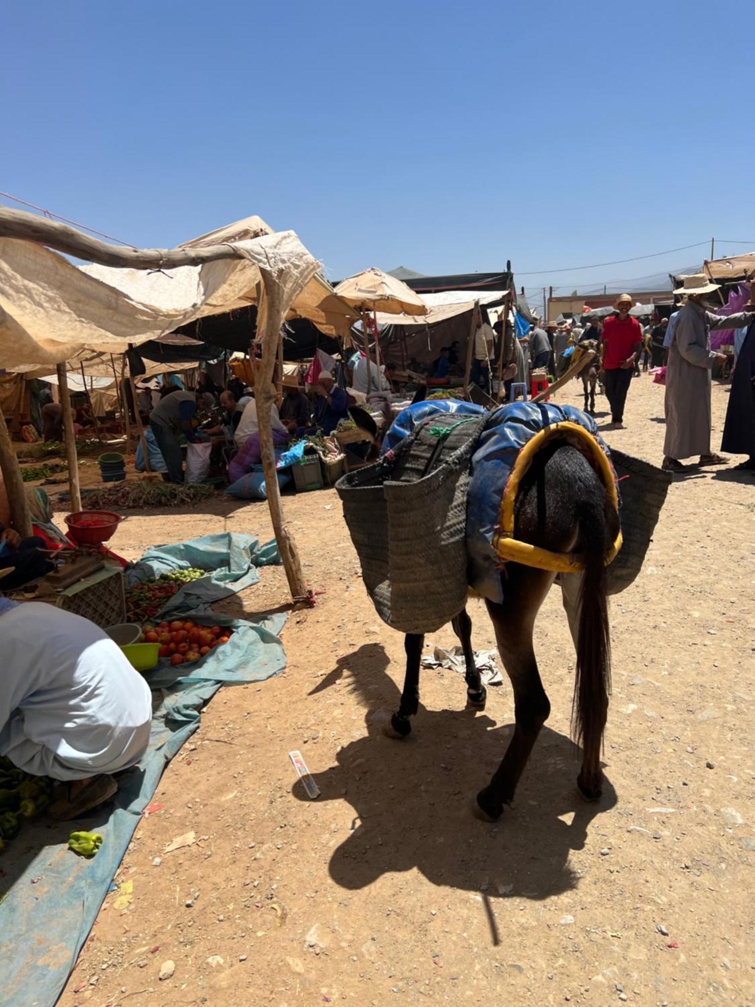 Tazart Lodge Marrakesh Eksteriør billede