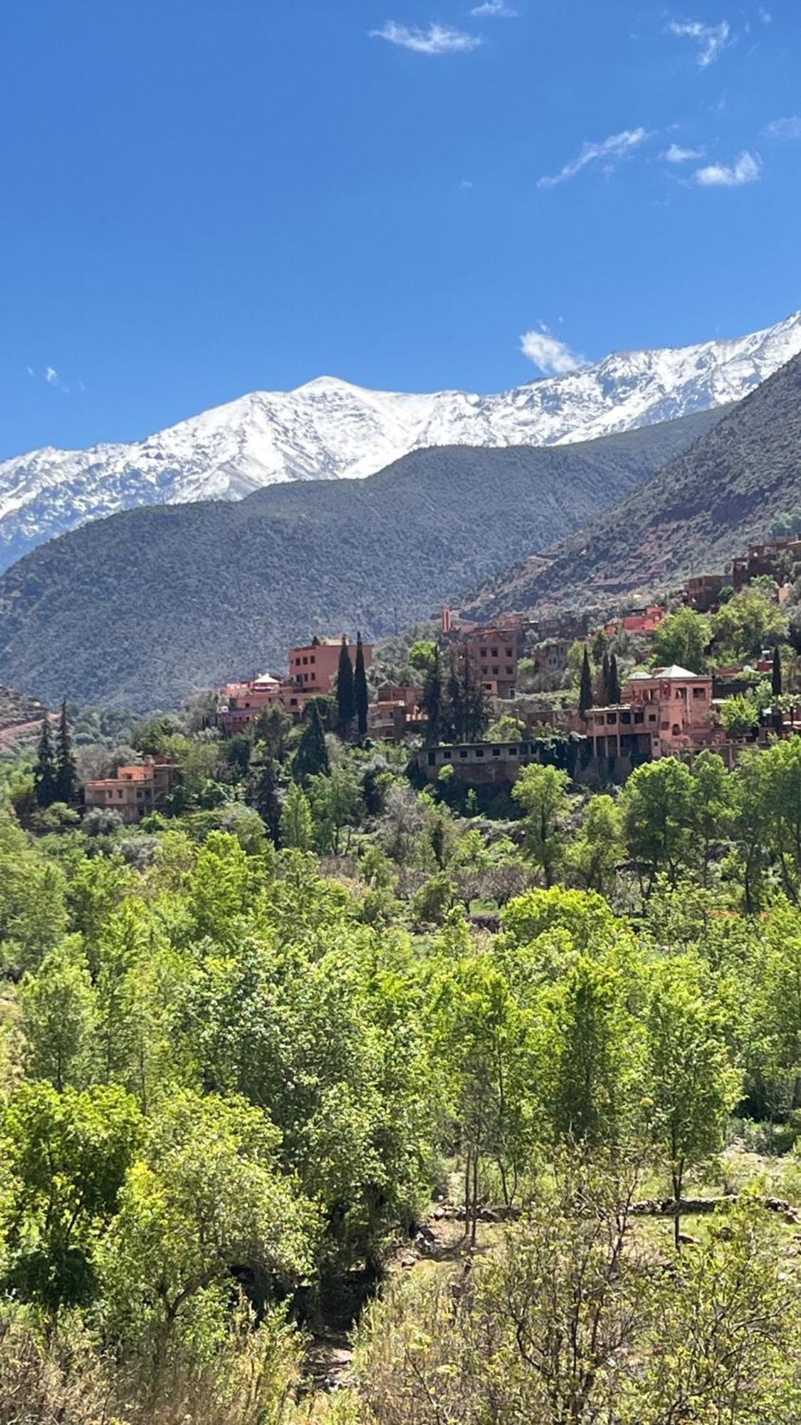 Tazart Lodge Marrakesh Eksteriør billede