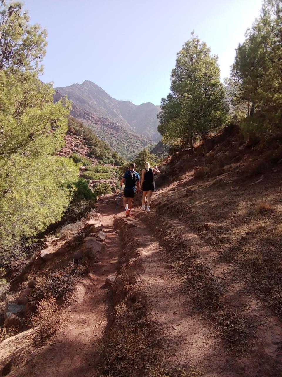 Tazart Lodge Marrakesh Eksteriør billede