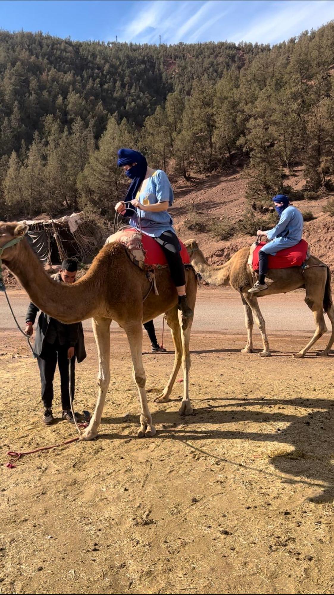 Tazart Lodge Marrakesh Eksteriør billede